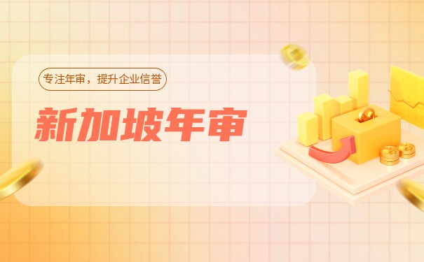 新加坡公司年检材料