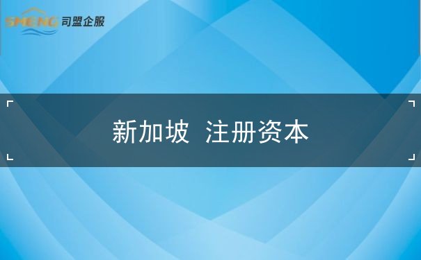 新加坡 注册资本