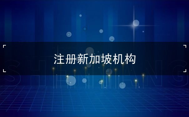 注册新加坡机构