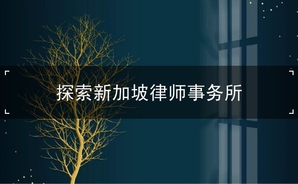 探索新加坡律师事务所