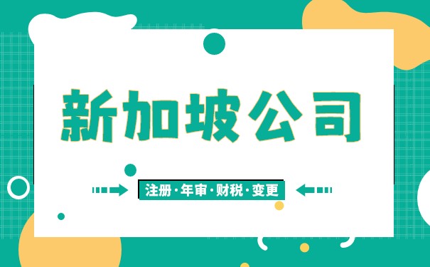 详细说明新加坡公司的费用