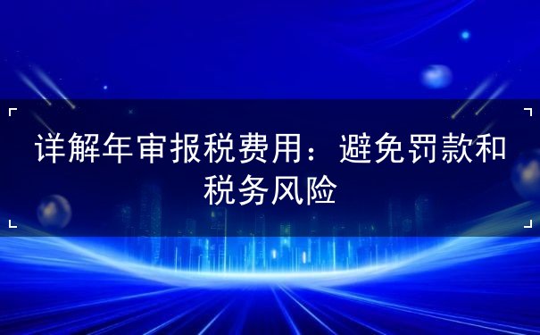 详解年审报税费用