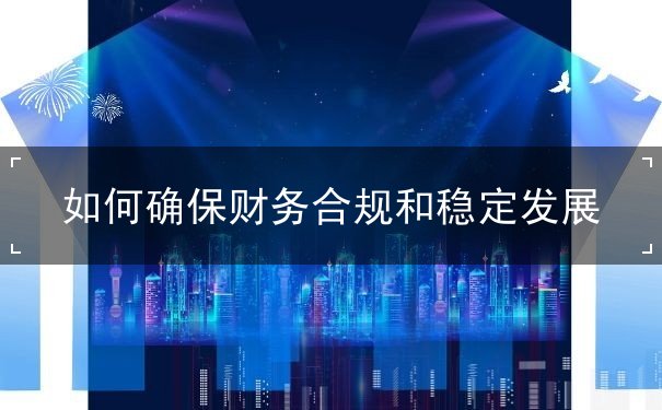 如何确保财务合规和稳定发展