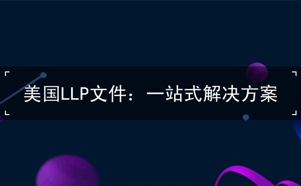 美国LLP文件