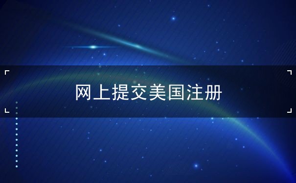 网上提交美国注册 网上提交美国注册