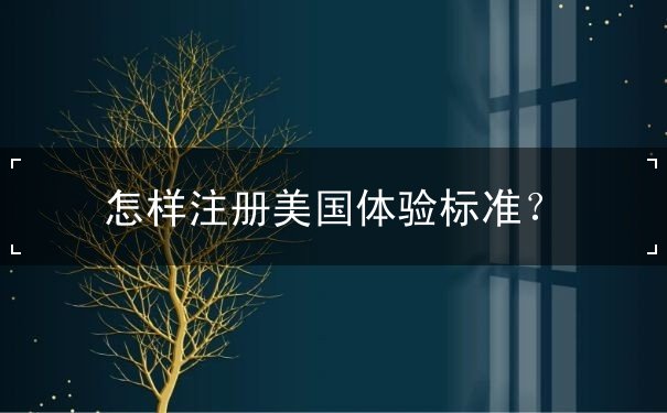 怎样注册美国体验标准