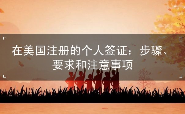 在美国注册的个人签证 在美国注册的个人签证