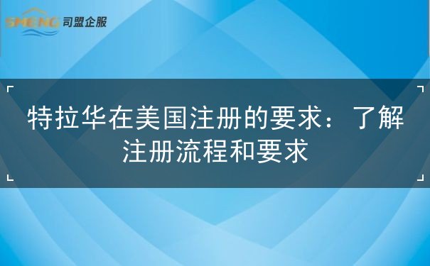 特拉华在美国注册的要求