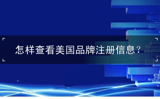 怎样查看美国品牌注册信息