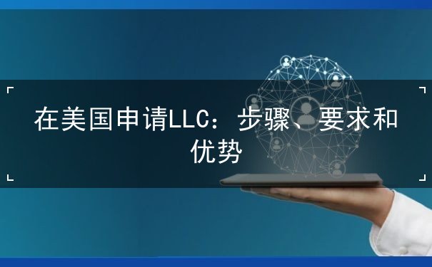 在美国申请LLC 在美国申请LLC