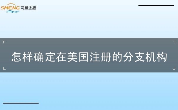 怎样确定在美国注册的分支机构