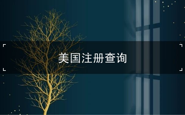 美国注册查询 美国注册查询
