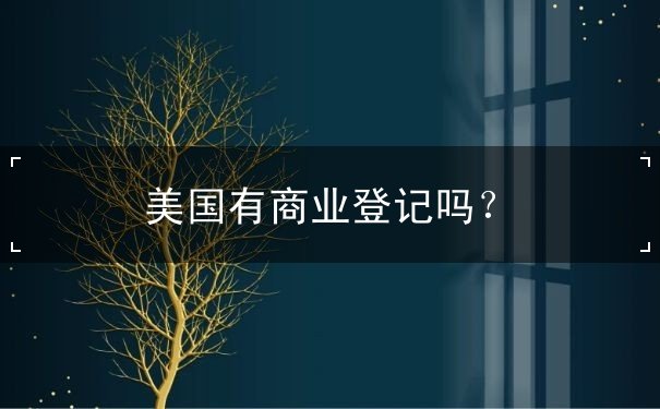 美国有商业登记吗 美国有商业登记吗