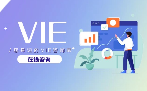 为什么VIE架构只能在美国注册