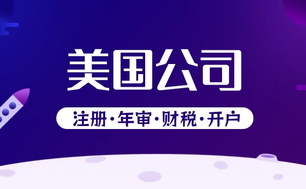 美国公司形式