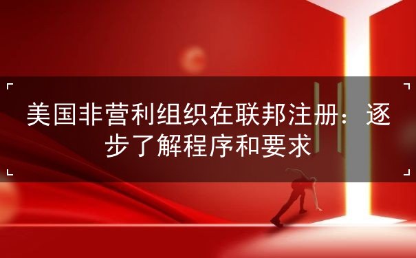 美国非营利组织在联邦注册