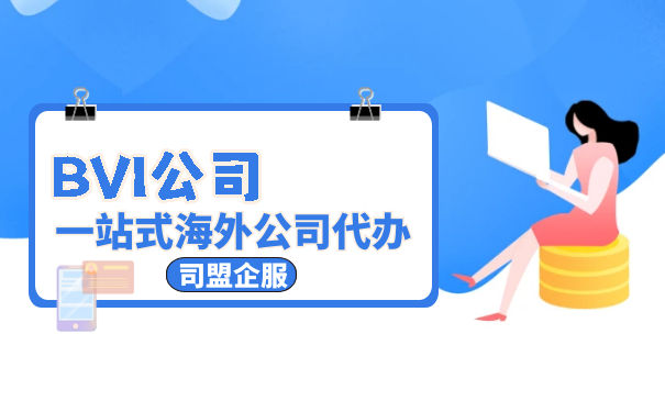 设立BVI子公司的美国公司 设立BVI子公司的美国公司