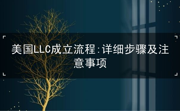 美国LLC成立流程 美国LLC成立流程