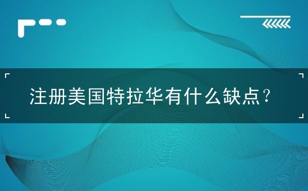 注册美国特拉华有什么缺点 注册美国特拉华有什么缺点