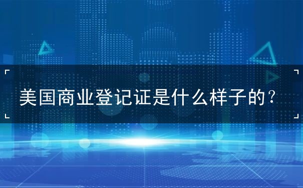 美国商业登记证是什么样子的