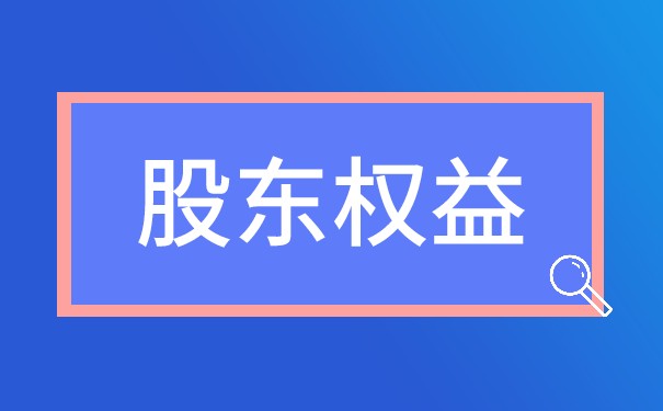 美国公司的股权结构