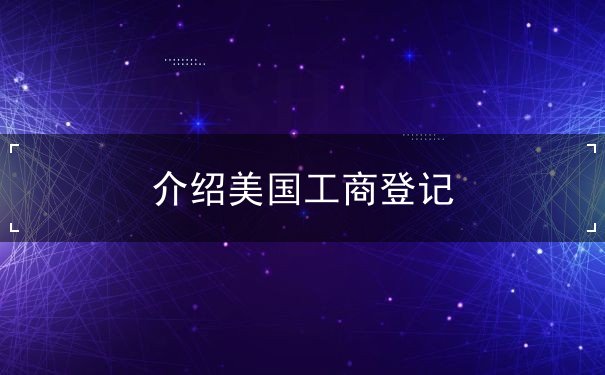 介绍美国工商登记