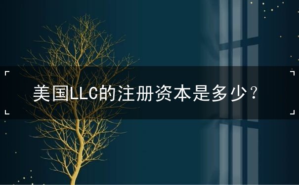 美国LLC的注册资本是多少