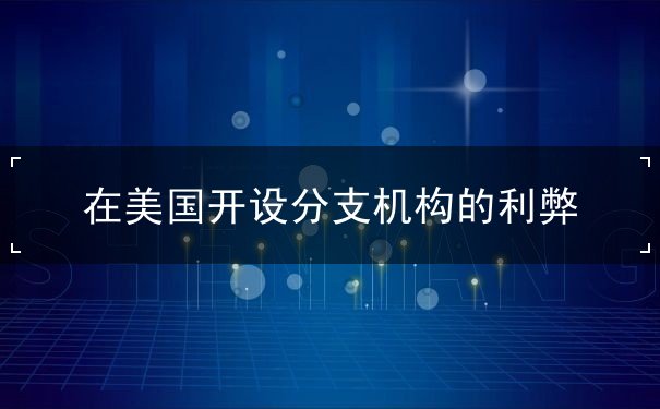 在美国开设分支机构的利弊