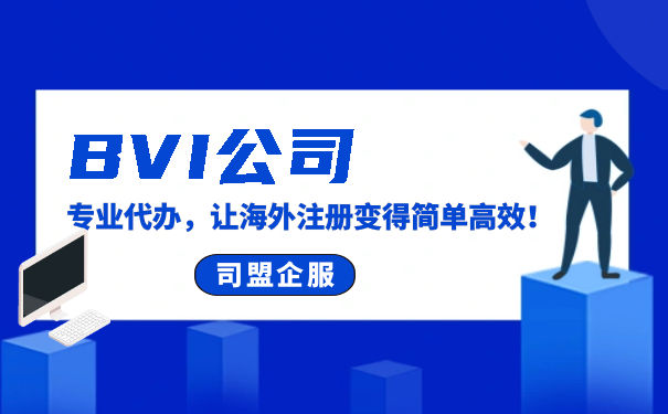 BVI能在美国成立吗