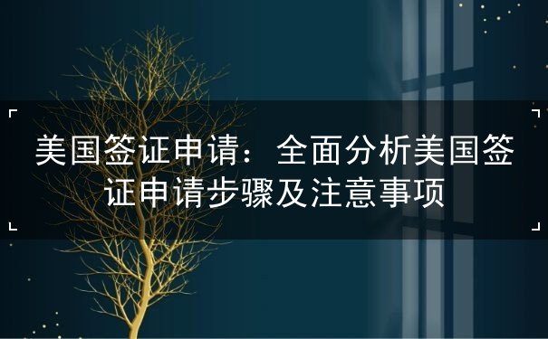 美国签证申请