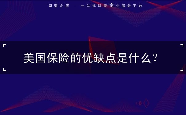 美国保险的优缺点是什么