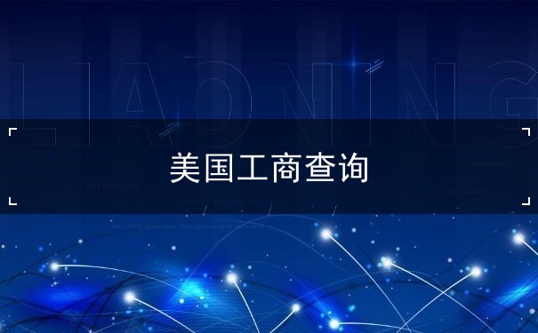 美国工商查询 美国工商查询