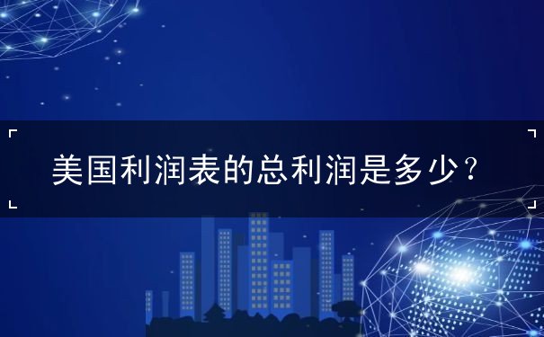 美国利润表的总利润是多少 美国利润表的总利润是多少