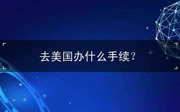 去美国办什么手续 去美国办什么手续