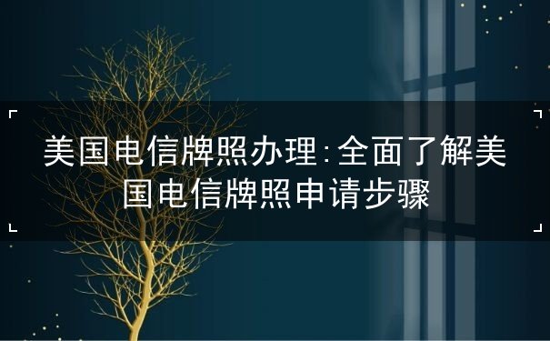 美国电信牌照办理 美国电信牌照办理