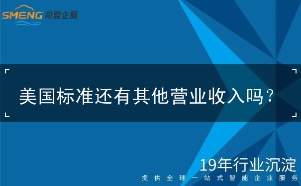 美国标准还有其他营业收入吗