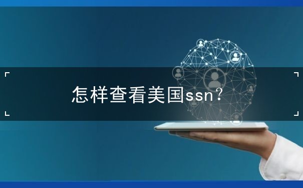 怎样查看美国ssn 怎样查看美国ssn