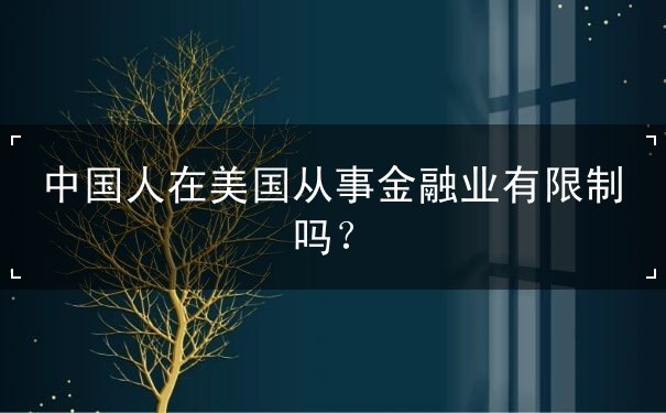 中国人在美国从事金融业有限制吗 中国人在美国从事金融业有限制吗