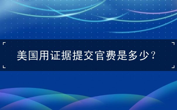 美国用证据提交官费是多少 美国用证据提交官费是多少