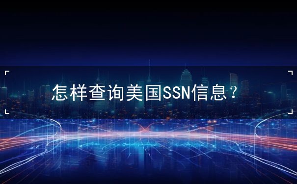 怎样查询美国SSN信息