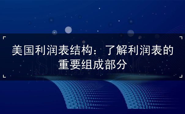 美国利润表结构
