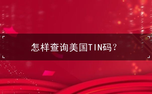 怎样查询美国TIN码