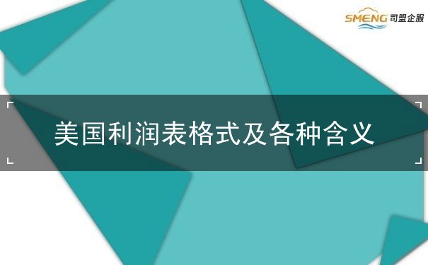 美国利润表格式及各种含义