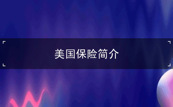 美国保险简介