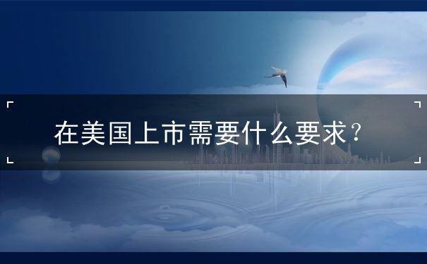 在美国上市需要什么要求