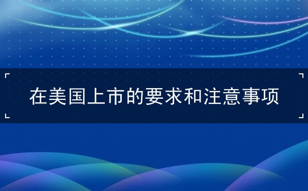 在美国上市的要求和注意事项 在美国上市的要求和注意事项