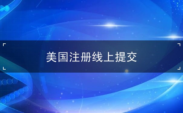 美国注册线上提交 美国注册线上提交