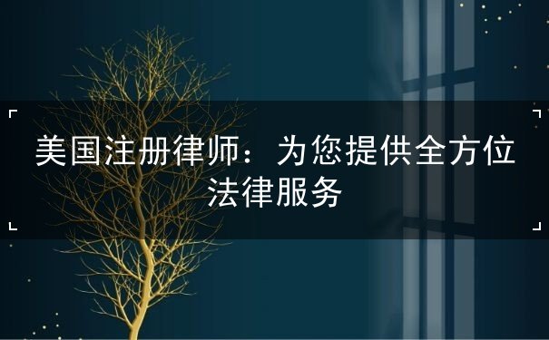 美国注册律师：为您提供全方位法律服务