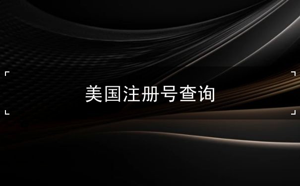 美国注册号查询