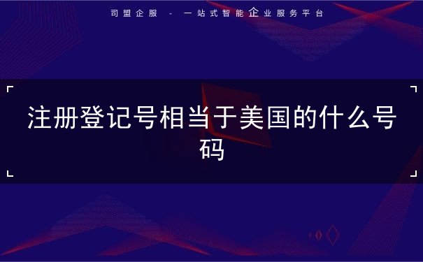 注册登记号相当于美国的什么号码